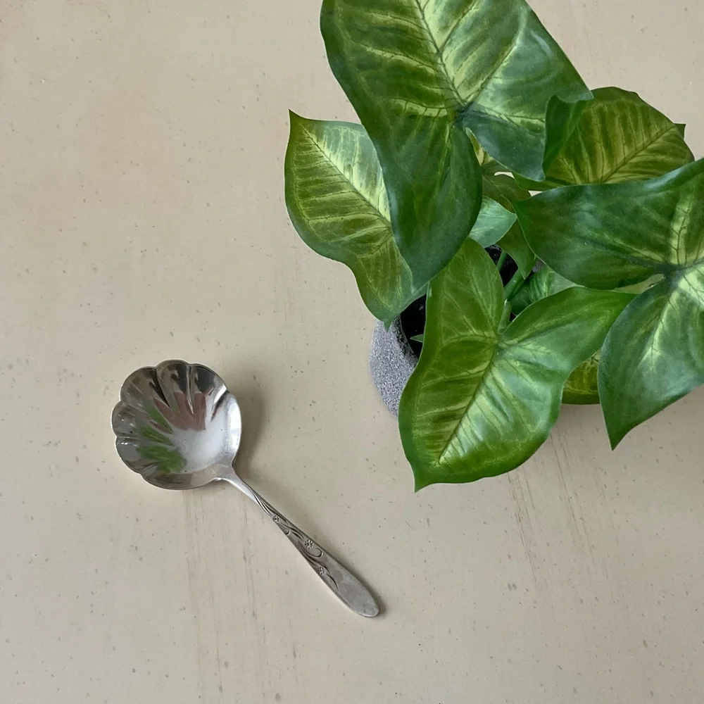 S Kirk & Sons Sterling Silver Sugar Nits BonBonShell Spoon